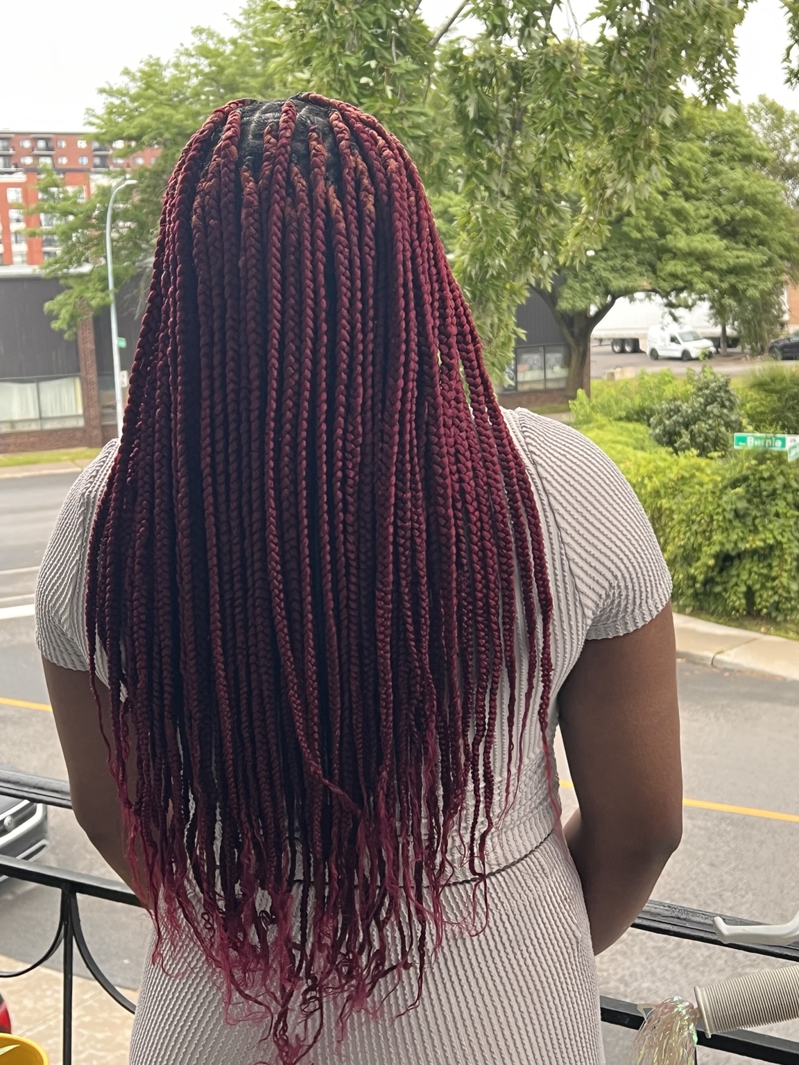 Burgundy box braids