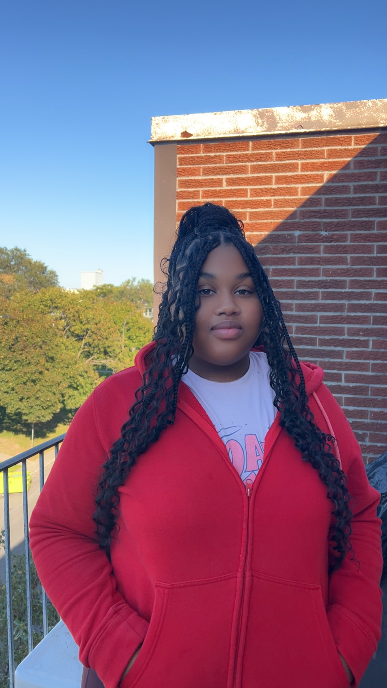 Hair by Zola braided hairstyle